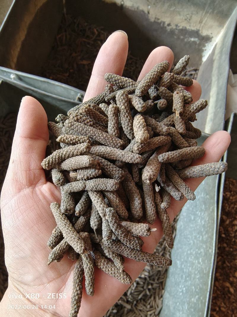 荜茇无硫调料大全批发零售一公斤起