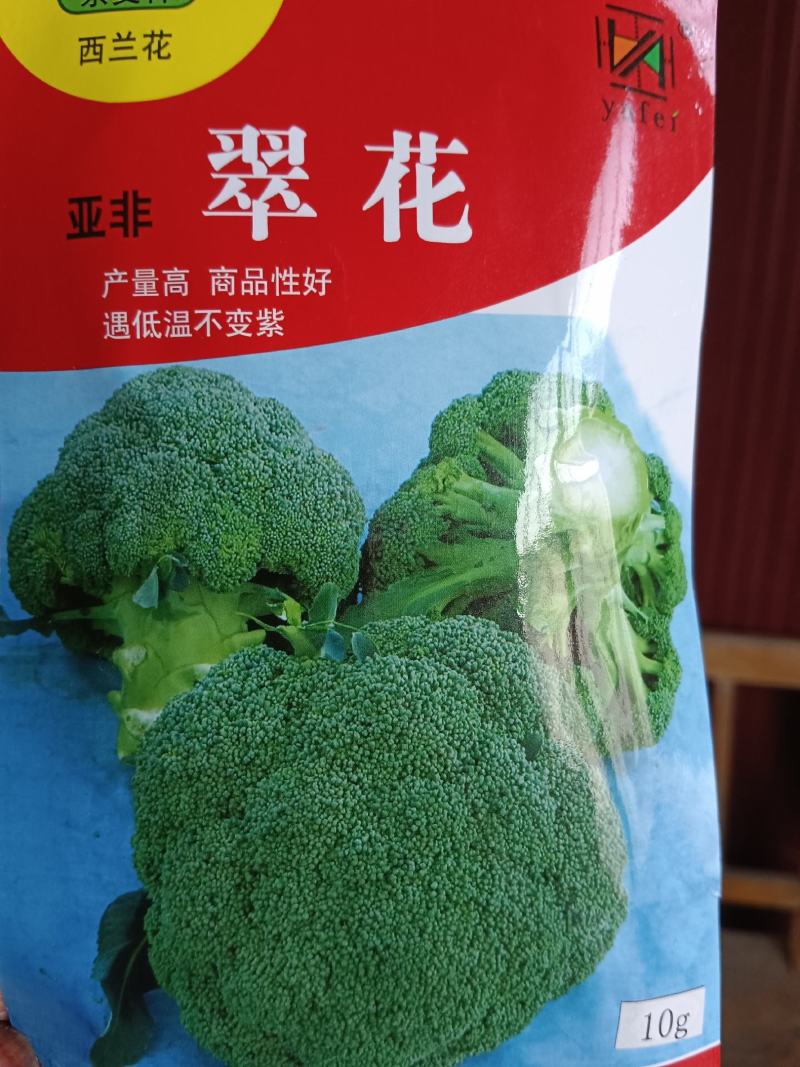 【推荐】西兰花苗规格齐全早熟中晚成熟都有欢迎电询