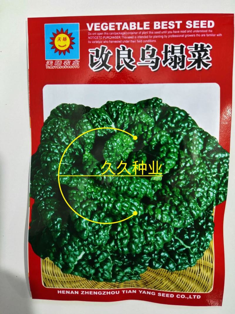 乌塌菜大全四季黄心改良乌菜种种子种籽白菜冬天青菜蔬菜孑