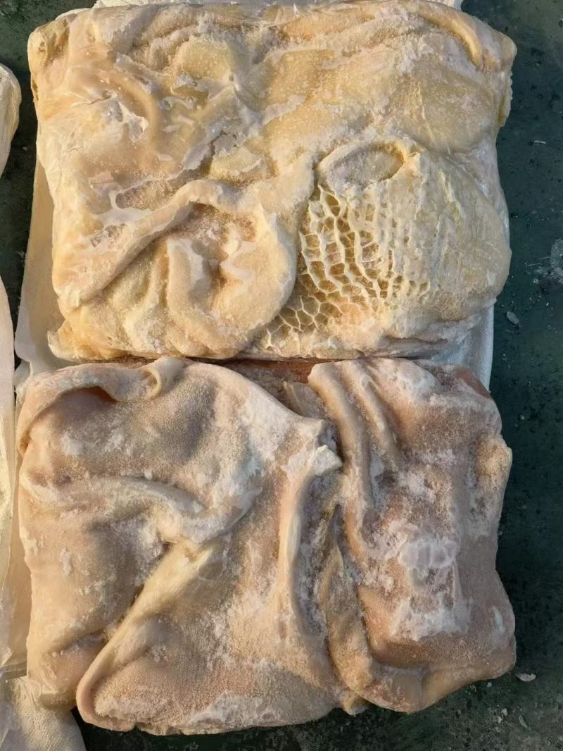 生牛肚