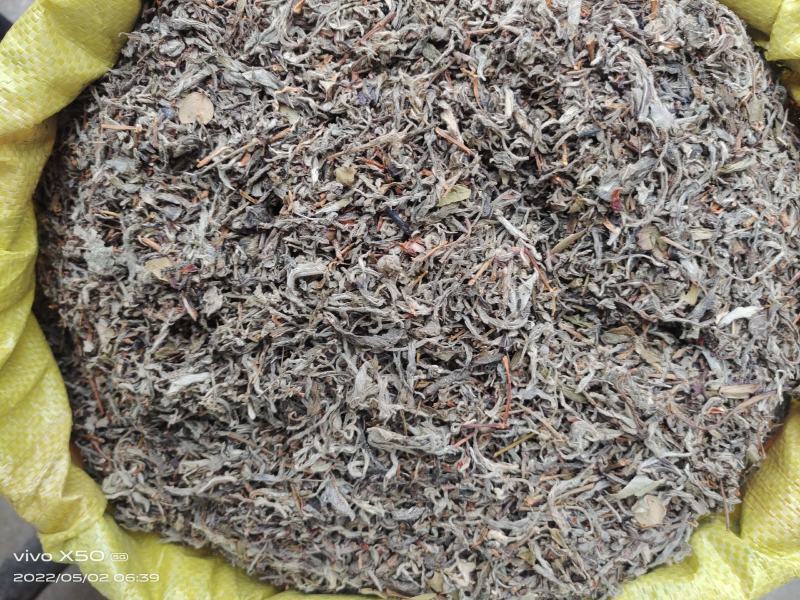 老鹰茶