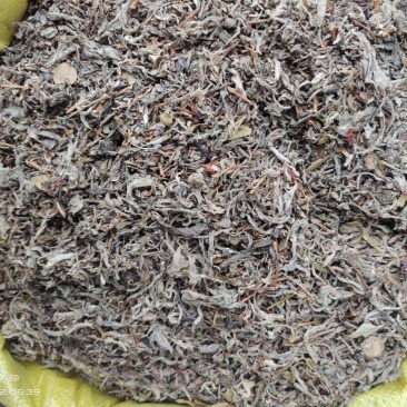 老鹰茶