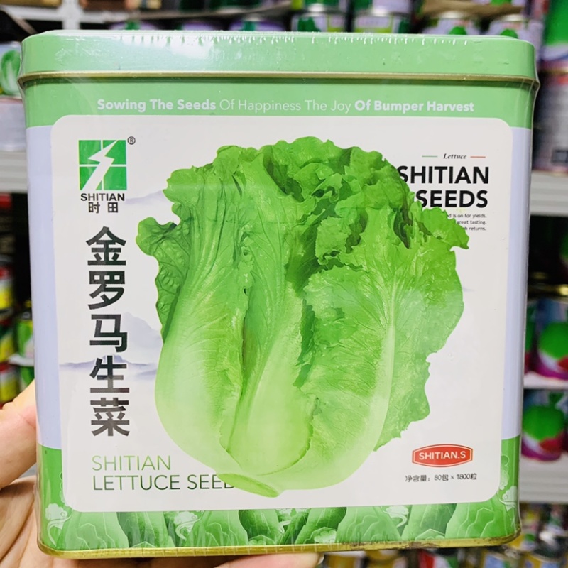 基地专用金罗马生菜种子脆甜味美不带苦味，半包心生菜种子