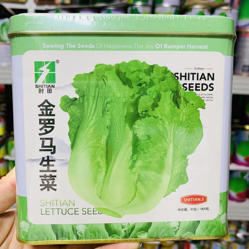 基地专用金罗马生菜种子脆甜味美不带苦味，半包心生菜种子
