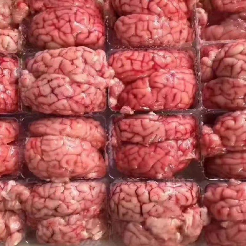 鲜冻颗粒羊脑，新鲜到货，价格合适量大从优，全国冷链直发…