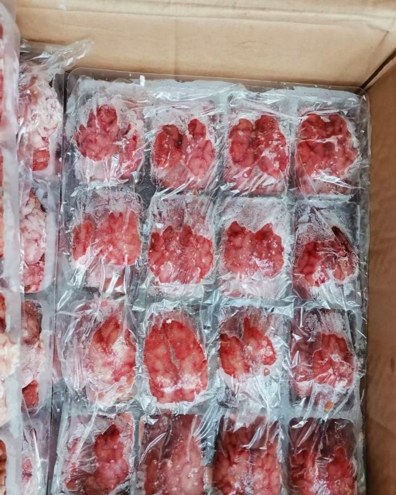 鲜冻颗粒羊脑，新鲜到货，价格合适量大从优，全国冷链直发…