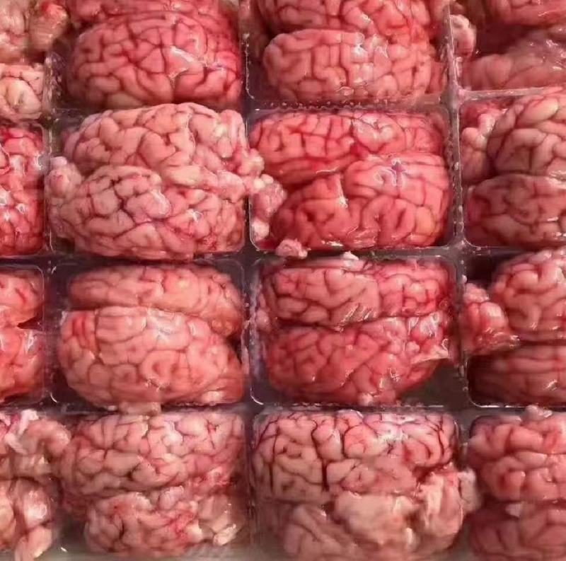 鲜冻颗粒羊脑，新鲜到货，价格合适量大从优，全国冷链直发…
