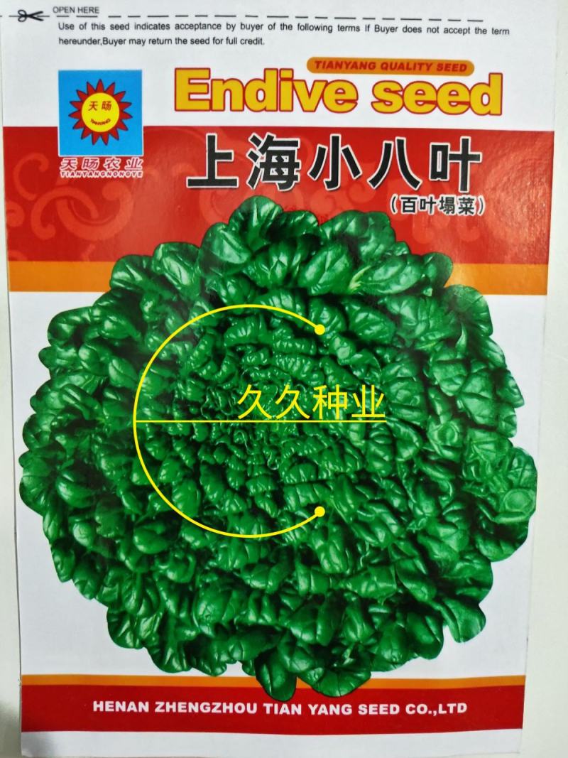 上海小八叶乌塌菜种子农田菜园叶片肥厚墨绿鲜嫩乌塌菜蔬菜