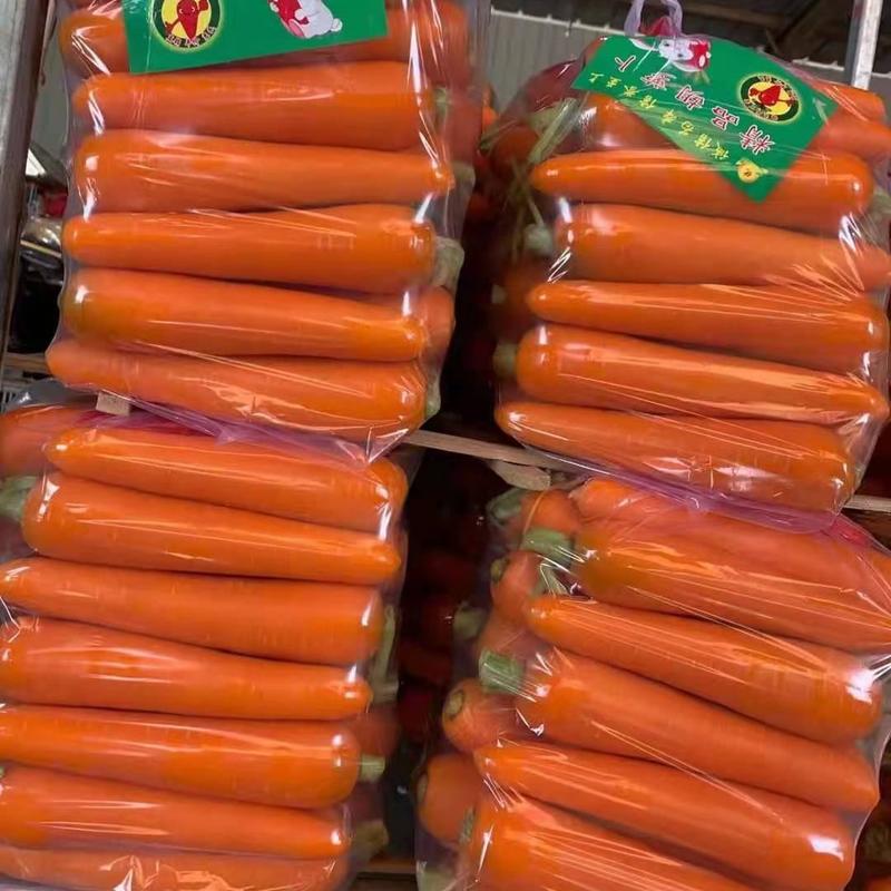 河南红萝卜二两以上，产地直销货源充足。