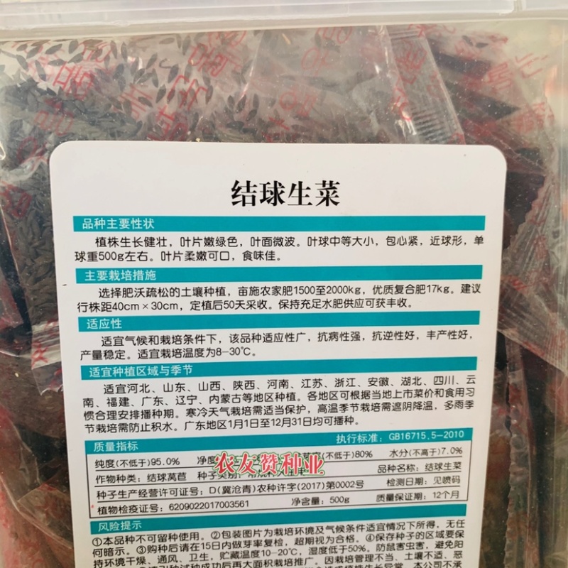 结球生菜种子包心生菜种子柔嫩可口基地专用生菜种籽