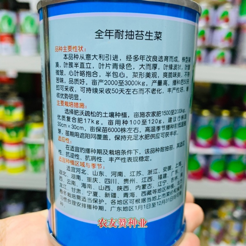 意大利引进品种全年耐抽苔生菜种子叶簇半直立半包心生菜种籽