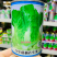 意大利引进品种全年耐抽苔生菜种子叶簇半直立半包心生菜种籽