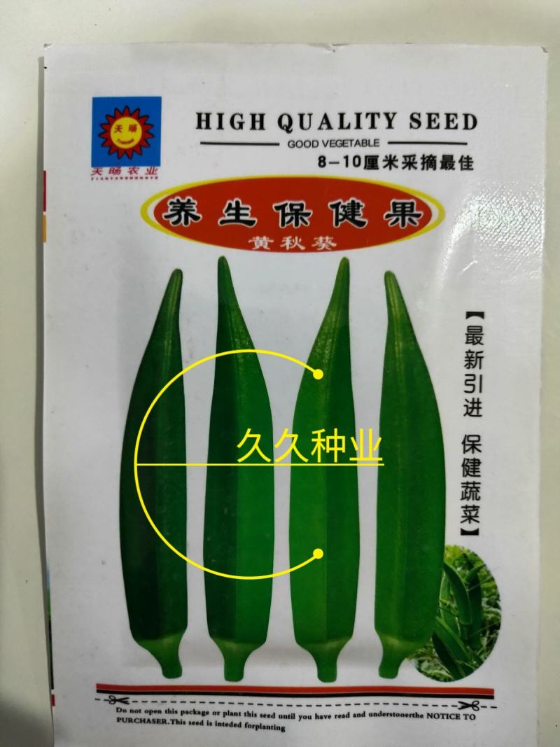 四季播蔬菜农家庭院耐寒耐热蔬菜种子高产黄秋葵种籽脆嫩秋葵