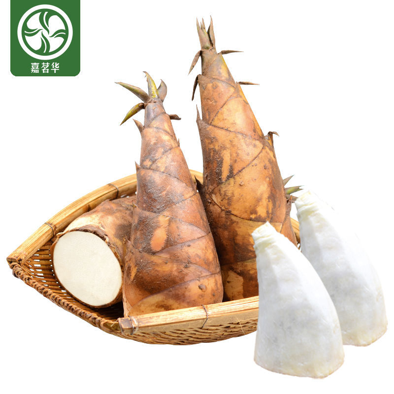 云南普洱甜笋一款可以生吃的甜笋可以做沙拉饭后甜品