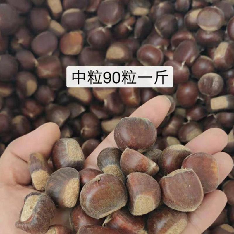 【9月份新货丹东油栗】合作社批发出售板栗质量好新鲜板栗