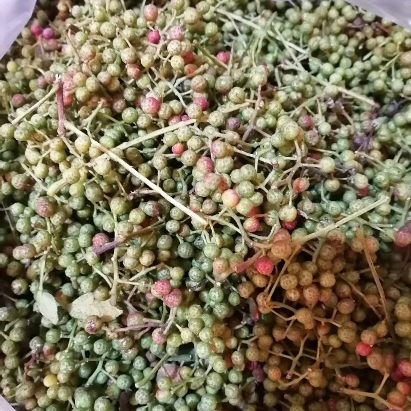 老品种土花椒大红袍