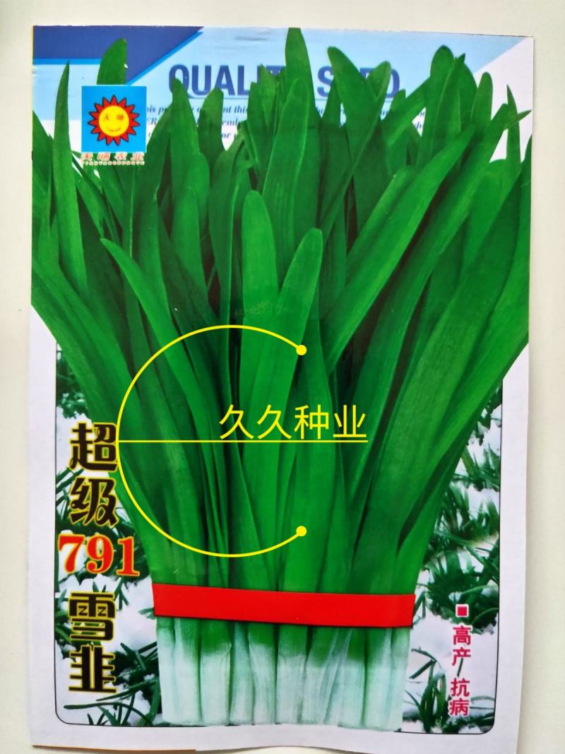 韭菜种子791大叶雪韭菜籽耐热耐寒夏秋四季阳台盆栽田园