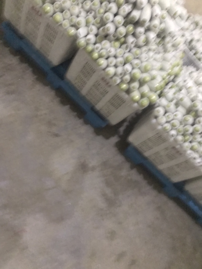 西葫芦大量有货，精品货，价格美丽