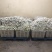 西葫芦大量有货，精品货，价格美丽