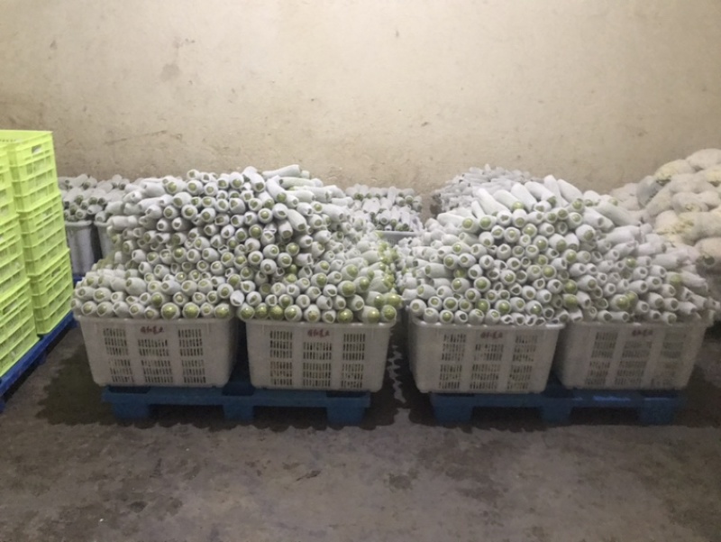 西葫芦大量有货，精品货，价格美丽