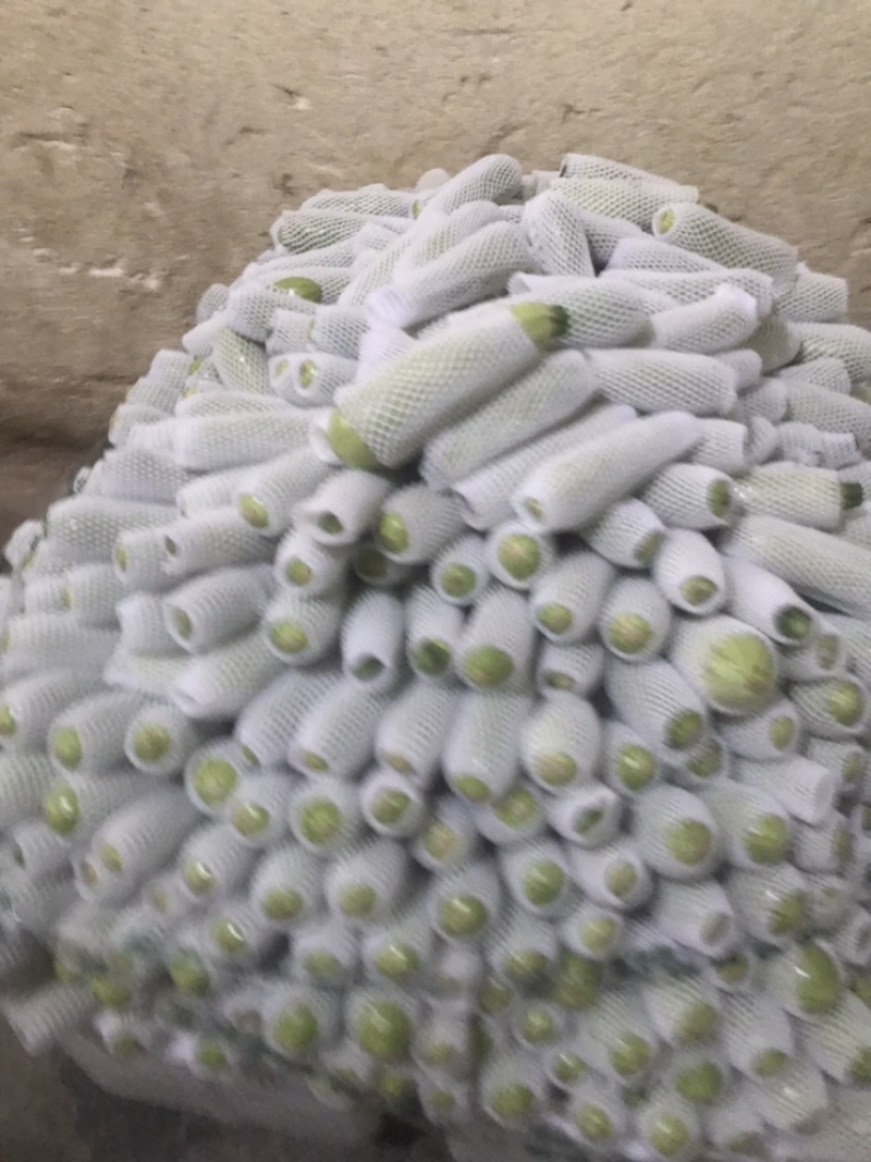 西葫芦大量有货，精品货，价格美丽
