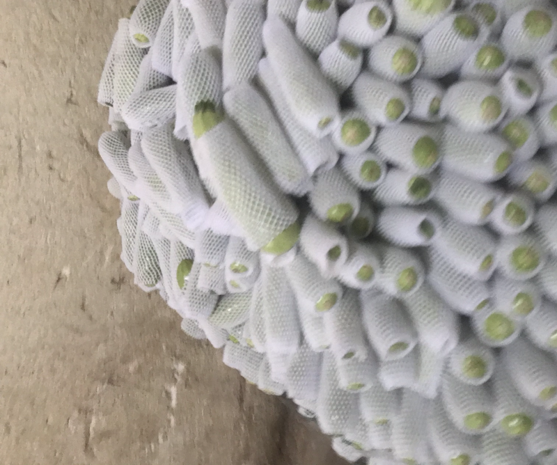 西葫芦大量有货，精品货，价格美丽