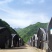 【柞水木耳】小耳农场自有基地