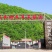 【柞水木耳】小耳农场自有基地