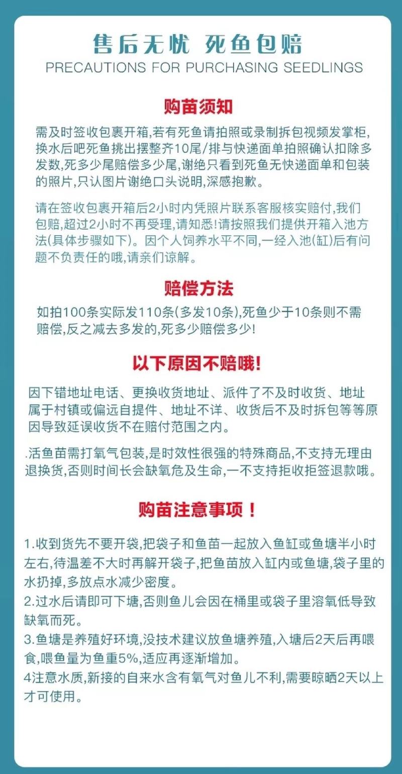 金丝红鲤鱼苗兴国红鲤鱼苗基地发货质量保证