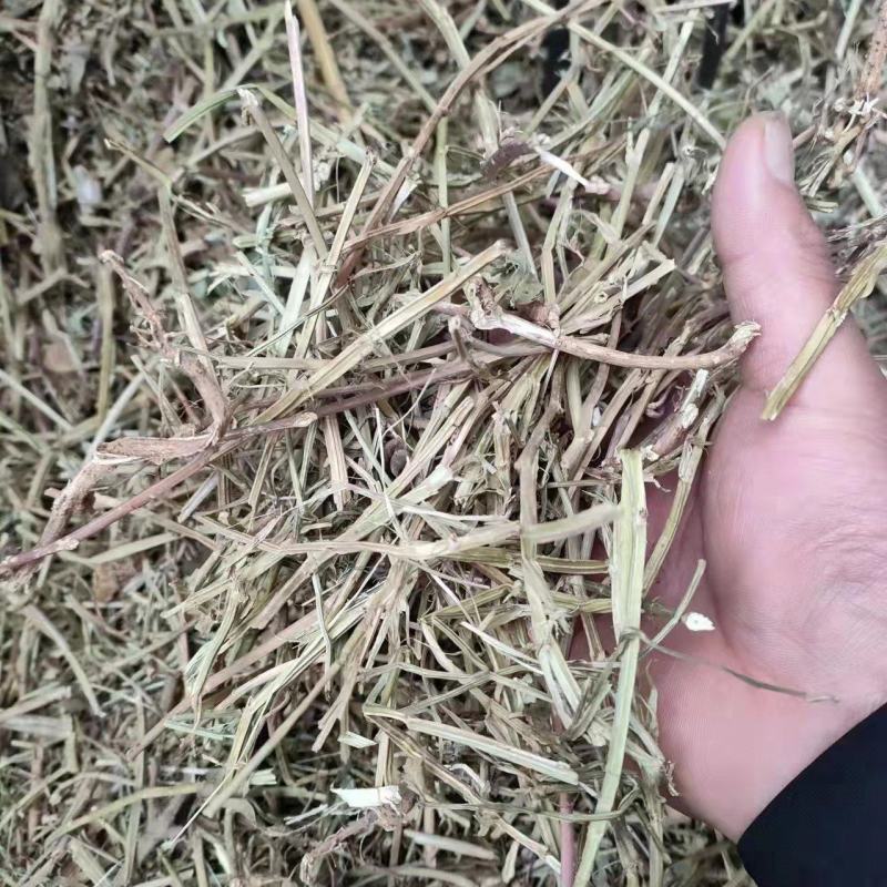 花生秧河南商丘民权牛羊草料量大从优欢迎咨询