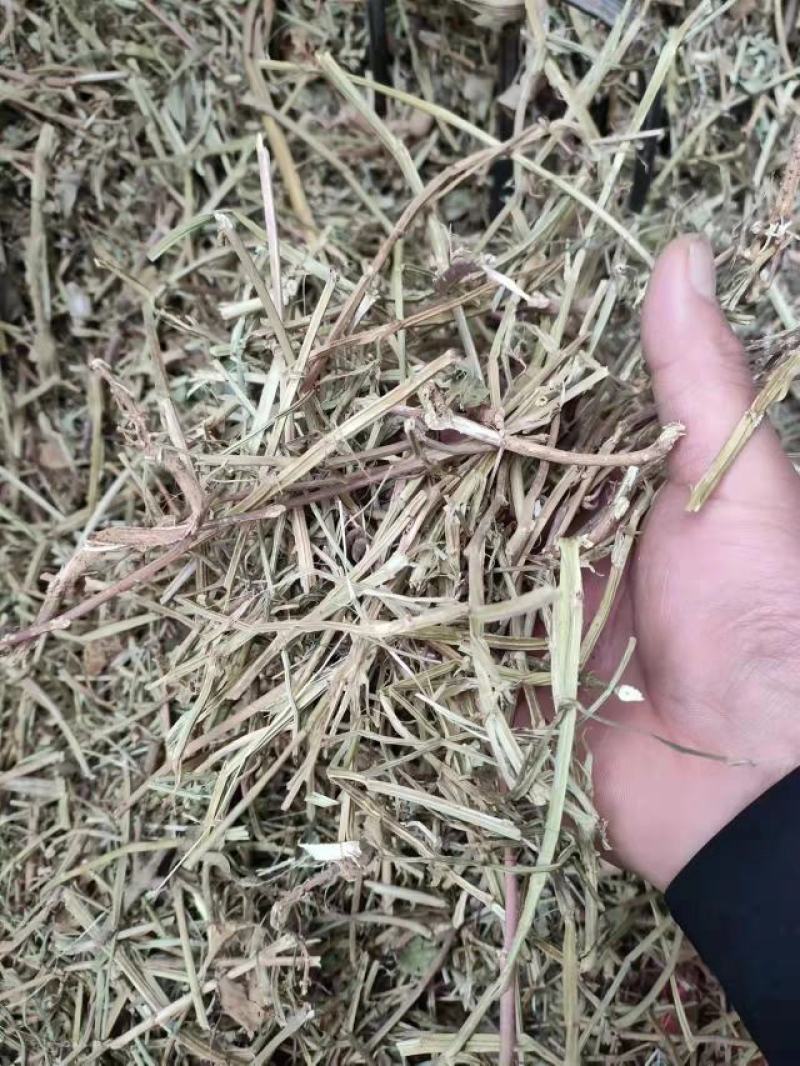 花生秧河南商丘民权牛羊草料量大从优欢迎咨询