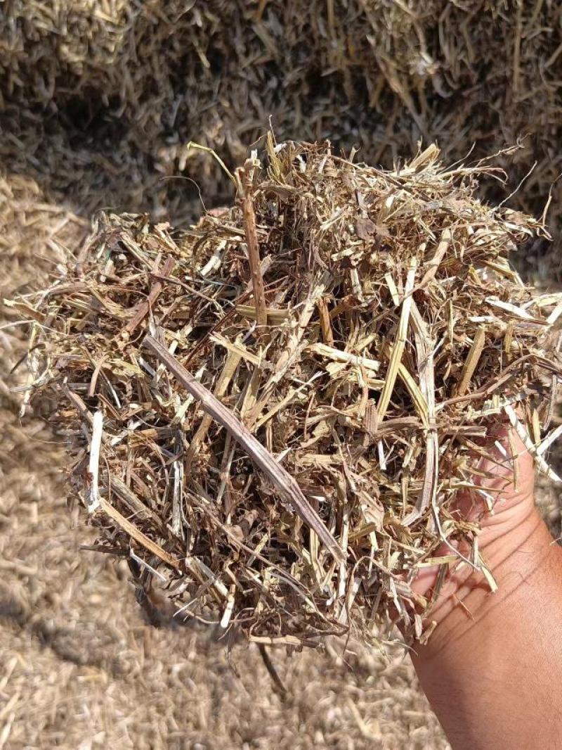 花生秧河南商丘民权牛羊草料量大从优欢迎咨询