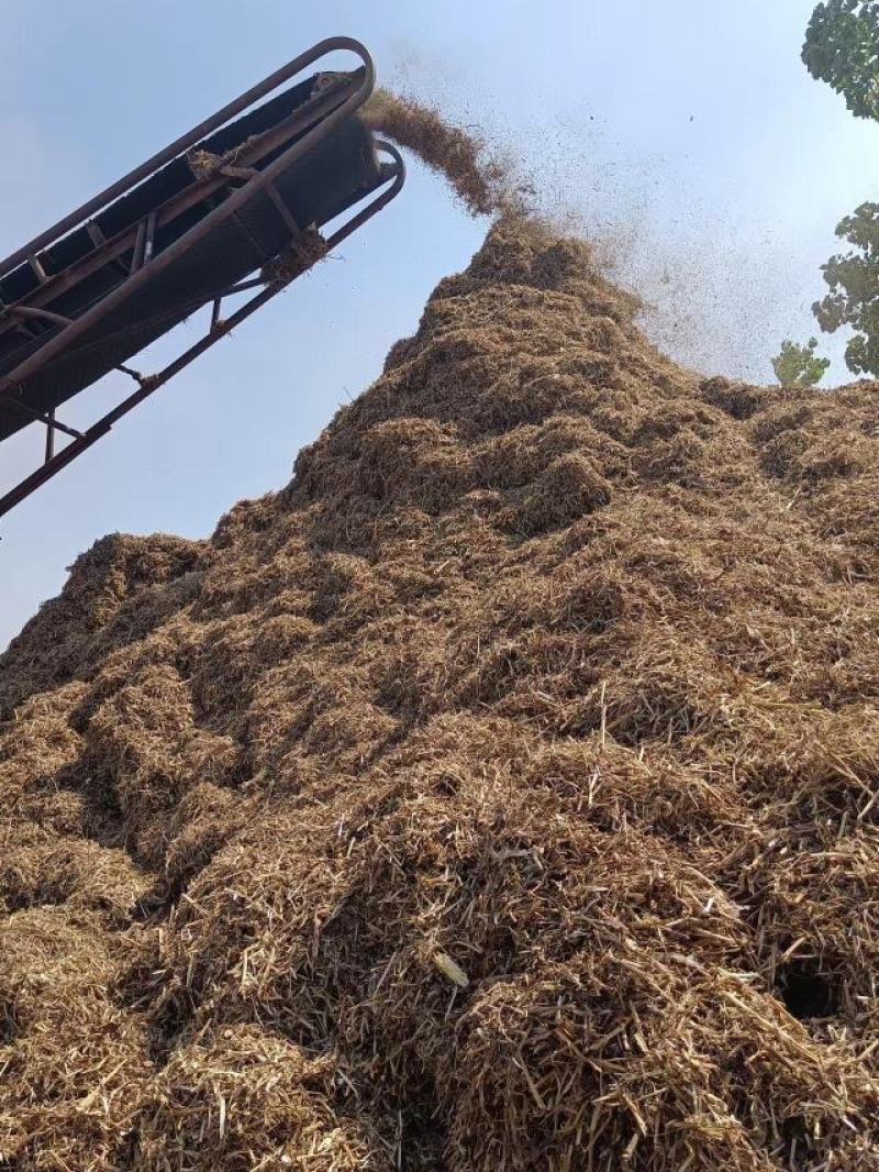 花生秧河南商丘民权牛羊草料量大从优欢迎咨询