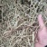 花生秧河南商丘民权牛羊草料量大从优欢迎咨询
