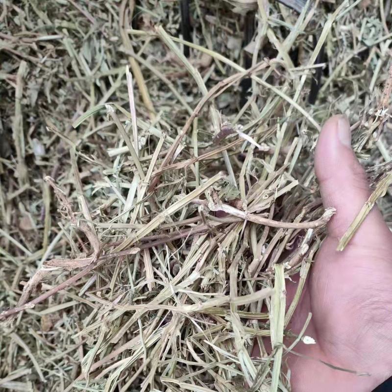 花生秧河南商丘民权牛羊草料量大从优欢迎咨询