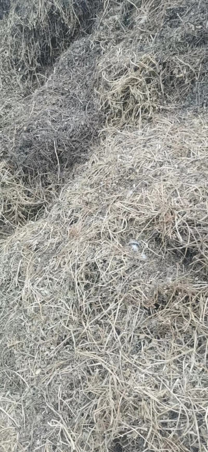 花生秧河南商丘民权牛羊草料量大从优欢迎咨询