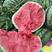 优质甜王西瓜大量供应产地直发质量保证全国发货