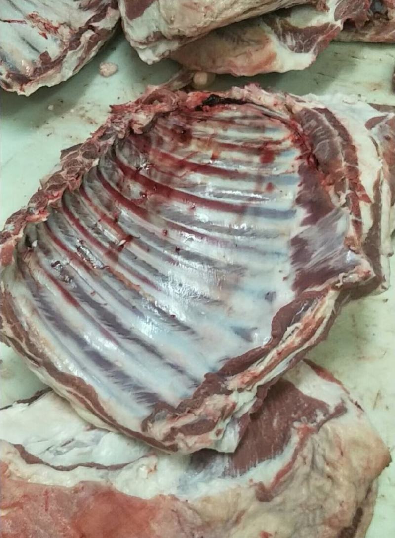 精品羊全排，新鲜货源，货量充足，全国冷链直发，量大从优…