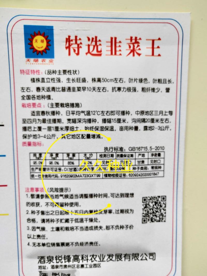 四季韭菜种子老品种小细叶韭菜种籽浓香阳台盆栽韭菜籽蔬菜种