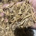 【优选】优质断节黄花菜，优质断节菜农家自制，产地直发