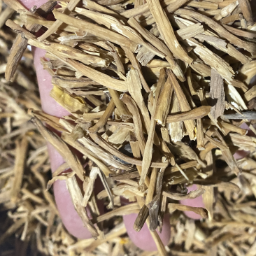 【优选】优质断节黄花菜，优质断节菜农家自制，产地直发