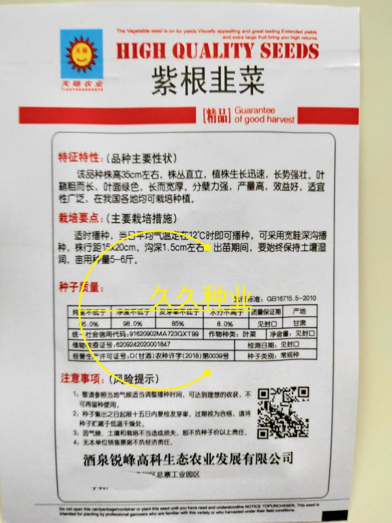 紫根韭菜种子四季可播宽叶韭菜籽蔬菜种子阳台盆栽室内外庭院