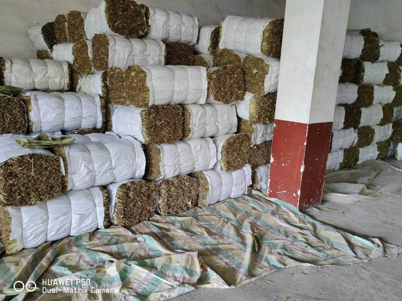 干粽叶（箬叶）自产自销精品粽叶，厂价直销欢迎订购