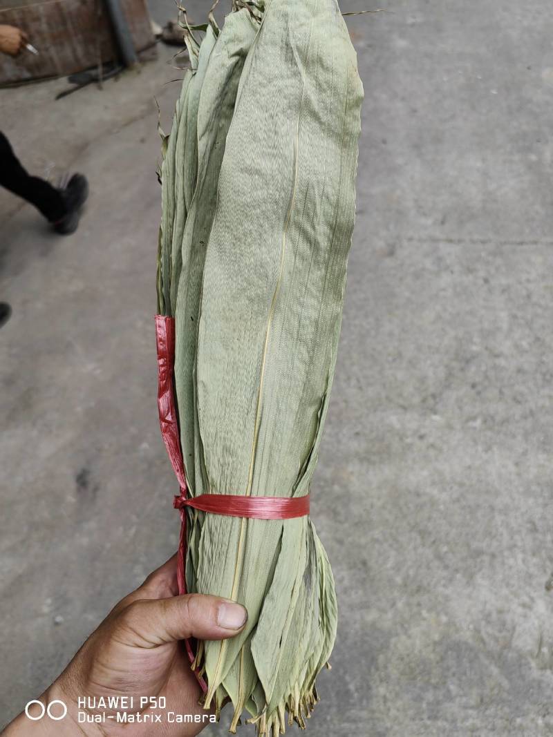 干粽叶（箬叶）自产自销精品粽叶，厂价直销欢迎订购