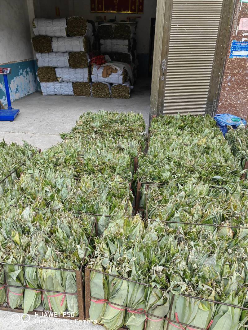 干粽叶（箬叶）自产自销精品粽叶，厂价直销欢迎订购