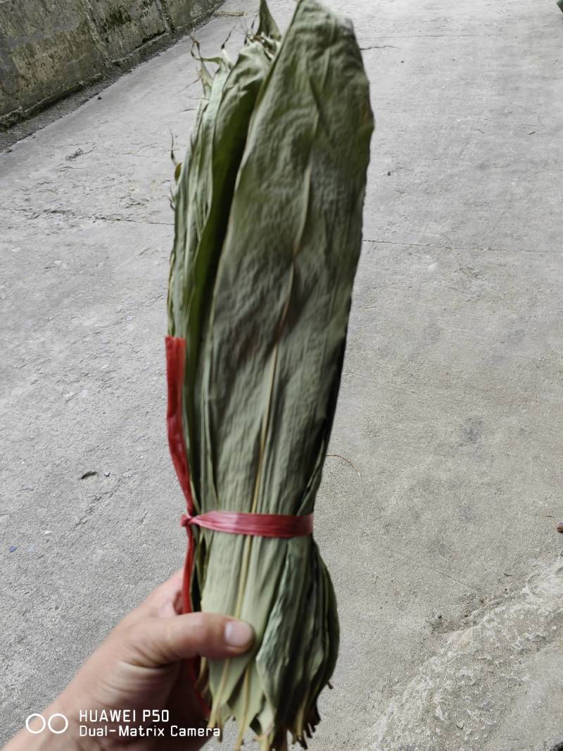 干粽叶（箬叶）自产自销精品粽叶，厂价直销欢迎订购