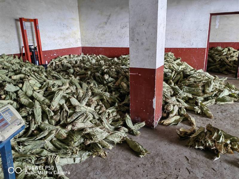 干粽叶（箬叶）自产自销精品粽叶，厂价直销欢迎订购