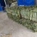 干粽叶（箬叶）自产自销精品粽叶，厂价直销欢迎订购