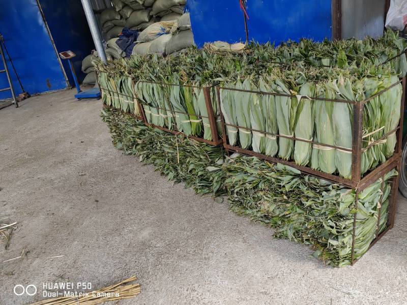 干粽叶（箬叶）自产自销精品粽叶，厂价直销欢迎订购