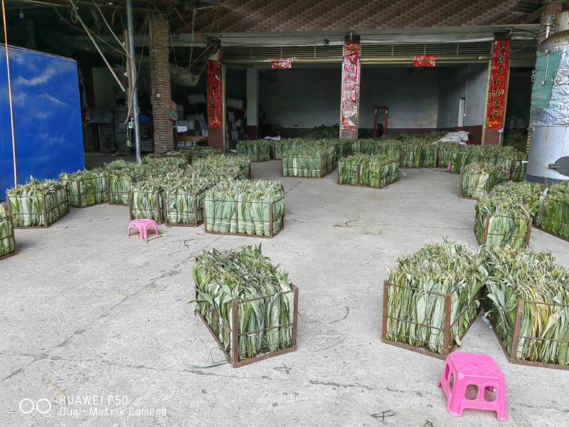 干粽叶（箬叶）自产自销精品粽叶，厂价直销欢迎订购